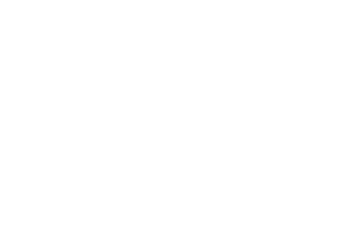 Asinabka Film & Media Arts Festival